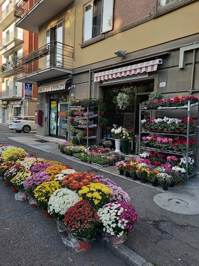 Fioreria San Francesco, Fiorista a Modena