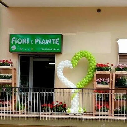 Fiori Di Testa, Fiorista a Potenza