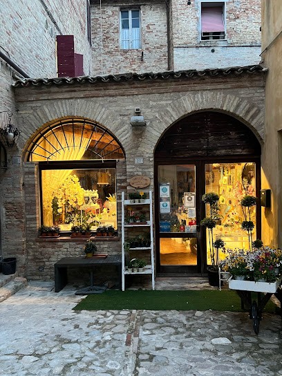 Fiori E Fiori, Fiorista a Filottrano