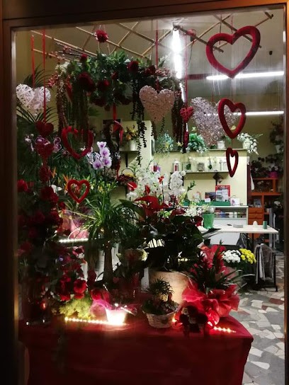 LA ROSA BLU DI PAPUCCI ROSSANA, Fiorista a Reggello