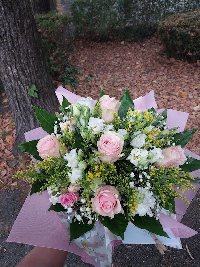 Aurora Fiori, Fiorista a Alpignano