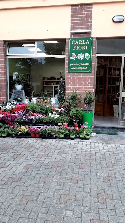 Carla Fiori, Fiorista a Refrancore