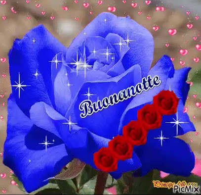 L'Orchidea Di Gratta' Bruno, Fiorista a Girifalco