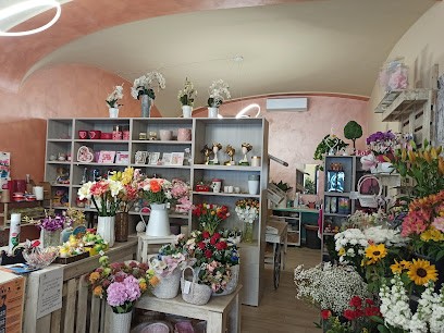 Casa Del Fiore, Fiorista a Cortemaggiore