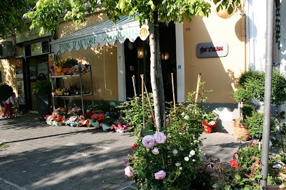 Fiori D'Autore DI Alfonso Burza & Giovanna S.N.C., Fiorista a Cava de' Tirreni