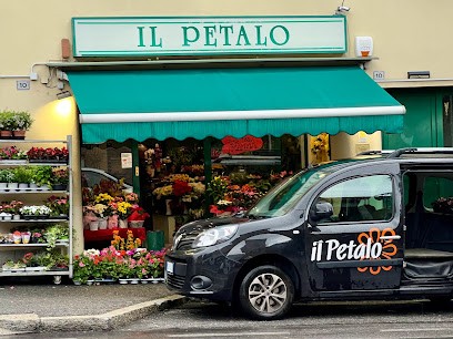 Il Petalo, Fiorista a Lecco