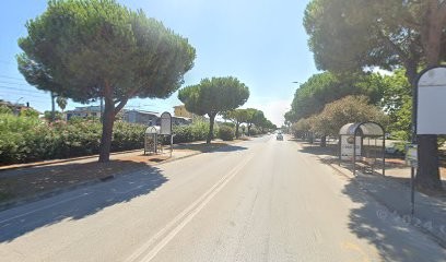 Fioraio Bernardo Rubino, Fiorista a San Benedetto del Tronto