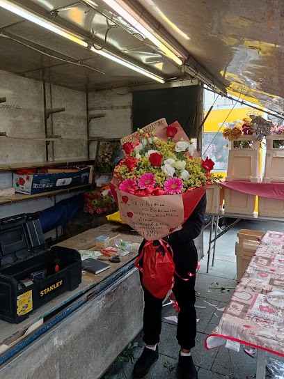 Francesco Fiori E Piante, Fiorista a Torino