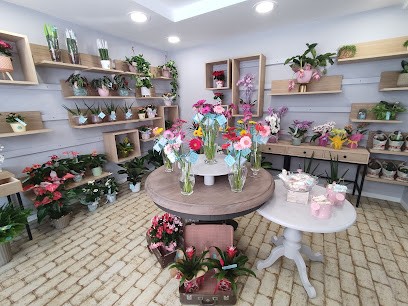 La Fioreria Di Giulia, Fiorista a Isola Rizza