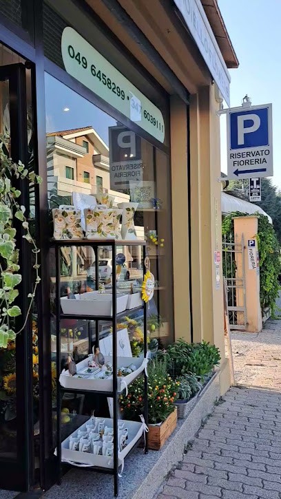 FIORERIA GIOIELLO FLOWERS Floral Designer - Montegrotto Terme -, Fiorista a Montegrotto Terme