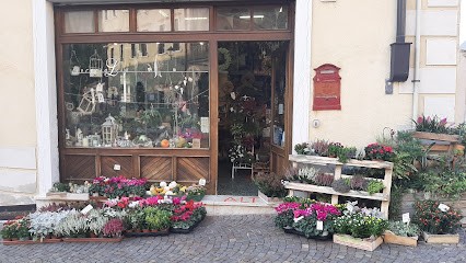 Fioreria Lisa Di Veronesi Sabrina, Fiorista a Mezzocorona