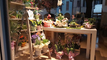 L'Edera, Fiorista a Faenza