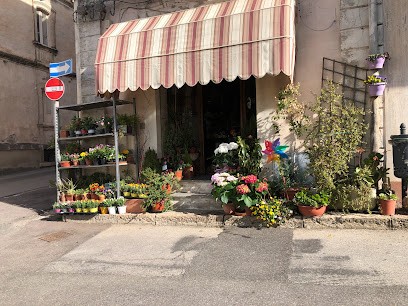 Il Glicine fiori e piante di Pierina Cappai, Fiorista a Pozzomaggiore