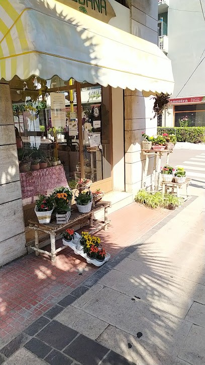 Ikebana Di Valentiniani Gabriella, Fiorista a Ortona