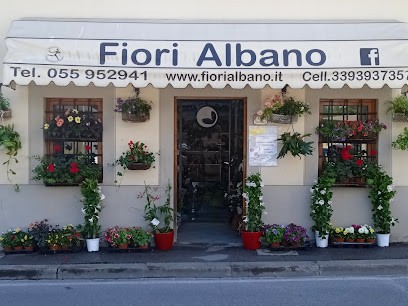 Fiori Albano, Fiorista a Figline e Incisa Valdarno