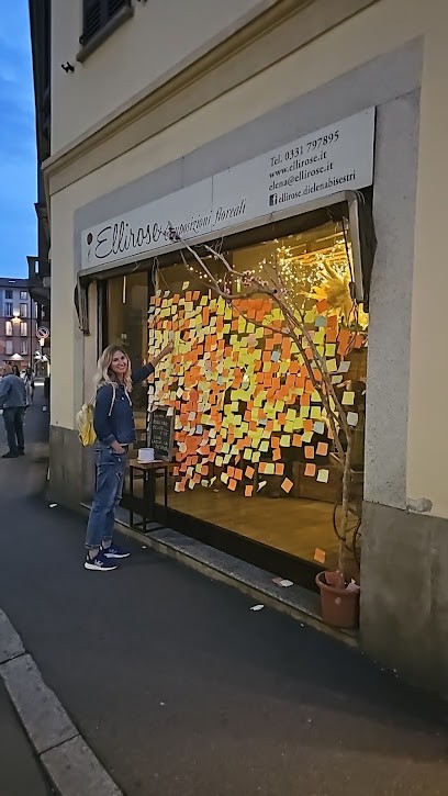 Ellirose Di Elena Bisestri, Fiorista a Gallarate