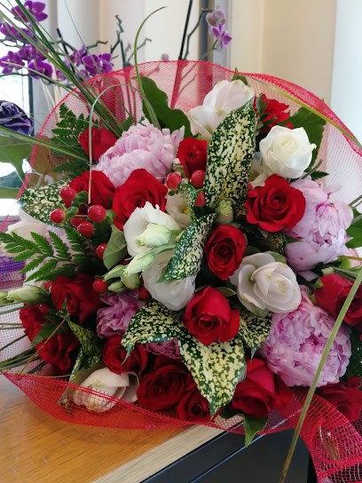 Fiori E Piante Il Quadrifoglio Di Ruggiero Rocco, Fiorista a Potenza