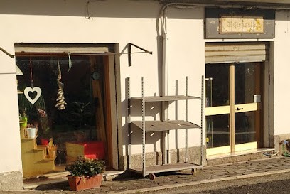 il Girasole, Fiorista a Ailano
