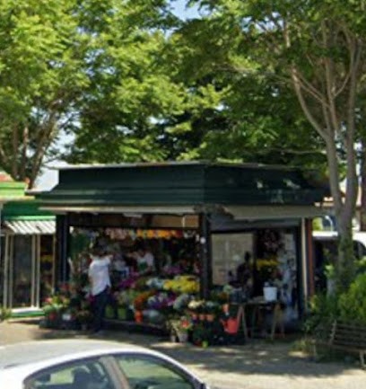 Garden Flower - Salvati Gianni, Fiorista a Marino