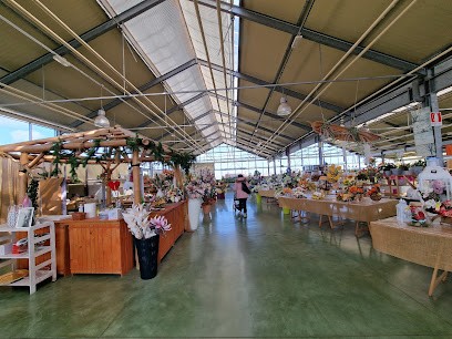 Floricoltura F.Lli Francesconi Valerio E Massimo Snc, Fiorista a Sant'Agata sul Santerno