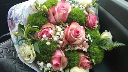 La Primula, Fiorista a San Martino in Pensilis