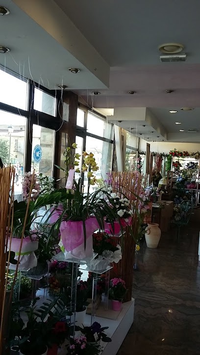 Fioreria Adelia Di Brunazzetto Adelia, Fiorista a Torreglia