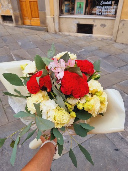 Rosi Paola, Fiorista a Monte San Savino