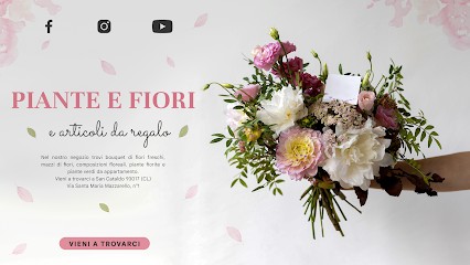 VivaiScifoStore Piante E Fiori, Fiorista a San Cataldo