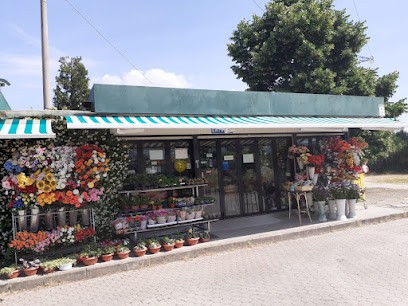 Il Giardino Dei Fiori - Fioraio A Pistoia, Fiorista a Pistoia