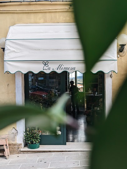 Cardosi Barbara Piante E Fiori, Fiorista a Manciano