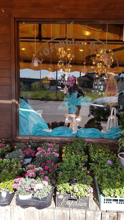 Orchidea D'Oro, Fiorista a Montalto Uffugo