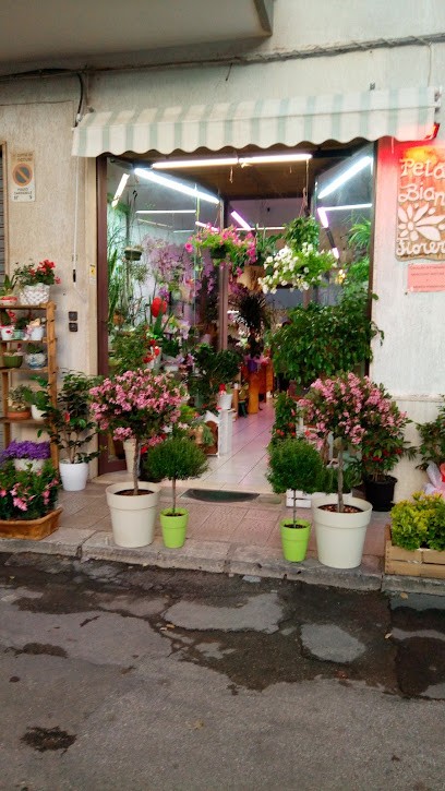 Fioreria Petalo Bianco, Fiorista a Ostuni