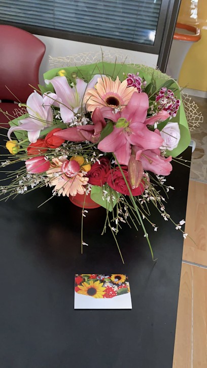 Linea Verde Piante E Fiori Palermo, Fiorista a Palermo