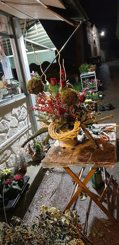 Marco Bagnoli Fiorista, Fiorista a San Miniato