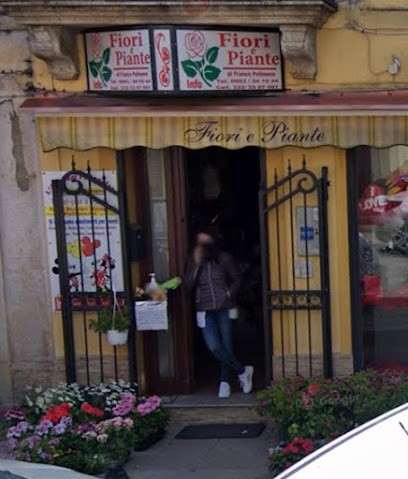 Polimeno Francesco Fiori E Piante, Fiorista a Serra San Bruno
