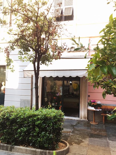 La Fioraia Farina, Fiorista a Savona