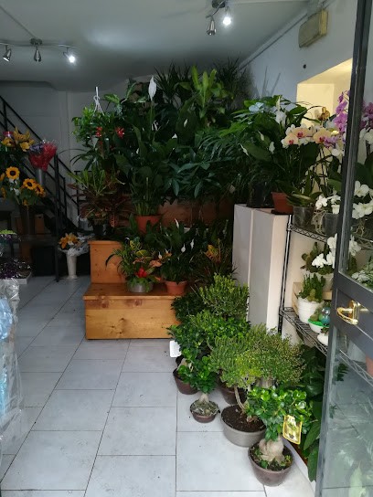 Iris Il Giardino Dei Semplici, Fiorista a Pomigliano d'Arco