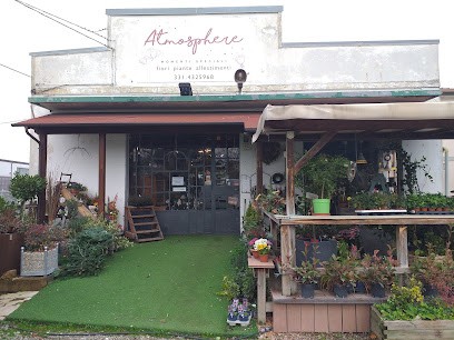 Atmosphere fiori, Fiorista a Medicina