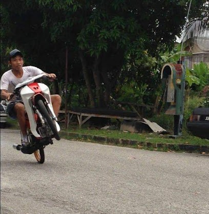 Garden House Arredamento Fiori E Piante, Fiorista a Messina