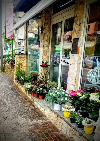 L'Angolo Del Fiore Di Frisina Norberto, Fiorista a Labico