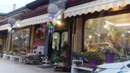 Fioreria Francesca Snc Di Foffano Francesca & C., Fiorista a Salzano