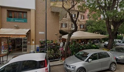 L'Angolo Dei Fiori Di Gennaro Benedetto, Fiorista a Palermo