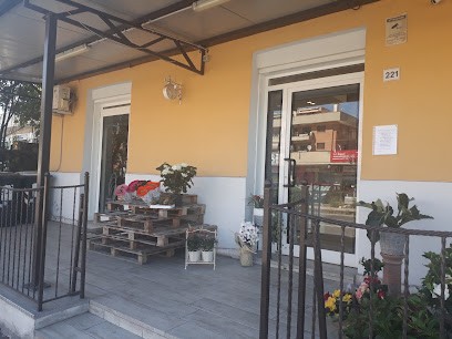 La Gardenia Di Giallini Paola, Fiorista a Monterotondo