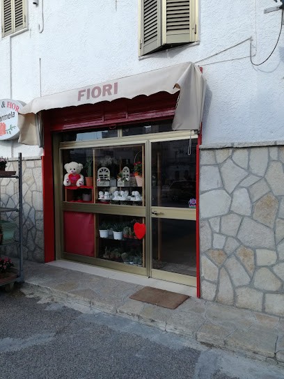 Piante E Fiori Da Carmela crispiano, Fiorista a Crispiano