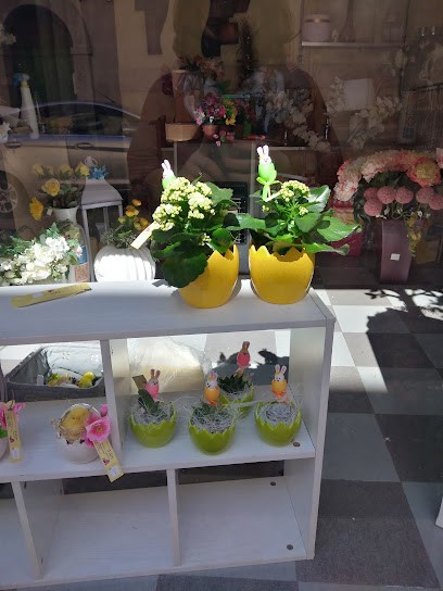 Eden Fiori E Piante S.n.c. Di Pantusa Elena & C., Fiorista a Spezzano della Sila