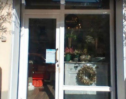 Andrea Fiori E Piante, Fiorista a Firenze