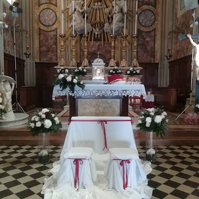 Petali Piante E Fiori, Fiorista a Grottammare