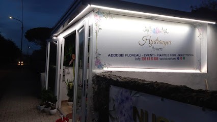 Hydrangea Flowers, Fiorista a Pompei
