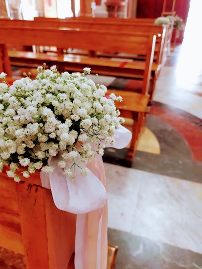 Centro Flora Di Di Giuseppe Angelica, Fiorista a Alcamo