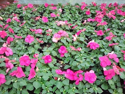 Floricoltura Colombo, Fiorista a Orsenigo